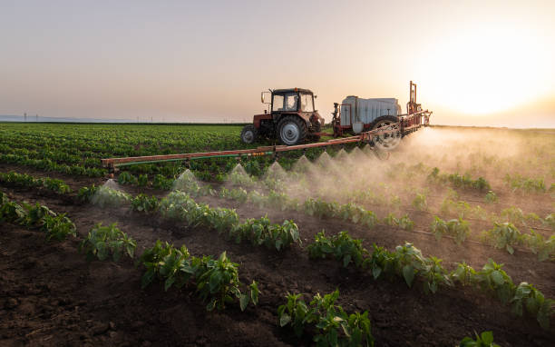 Pest Control Cost in Esparto, CA