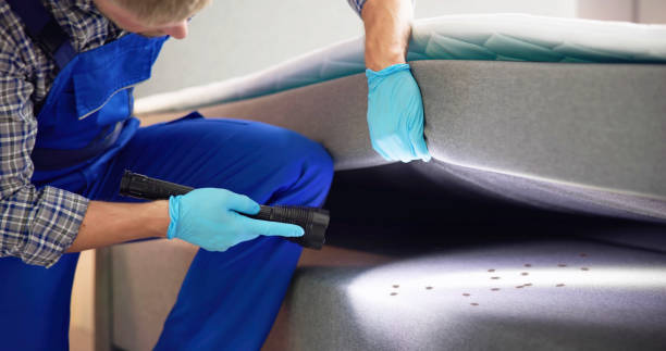 Best Best Pest Control Near Me  in Esparto, CA