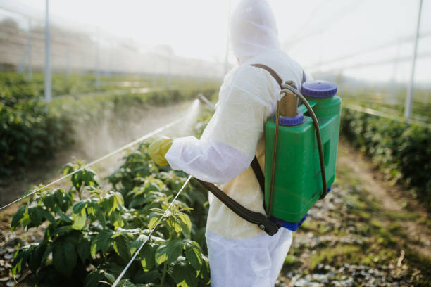 Best Spider Control Near Me  in Esparto, CA
